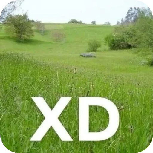 Sticker ZViTdvG_by_achestickbot - 1