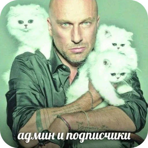 Sticker ZViTdvG_by_achestickbot - 1