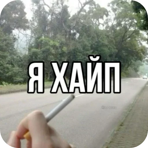 Sticker ZViTdvG_by_achestickbot - 1