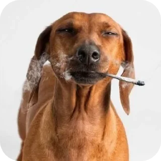 Sticker Больше стиков тут: @stikery4 - 8