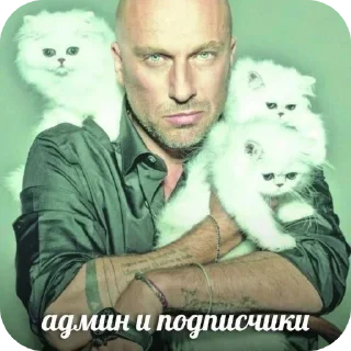 Sticker Больше стиков тут: @stikery4 - 3