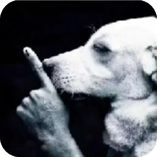 Sticker Больше стиков тут: @stikery4 - 9