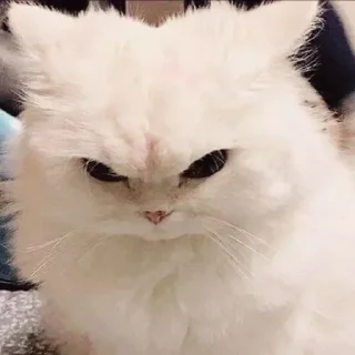 Стикер @StickersFuck1 - 5