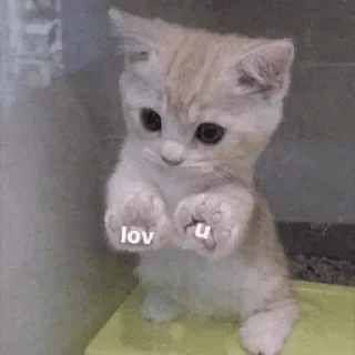 Стикер @StickersFuck1 - 1