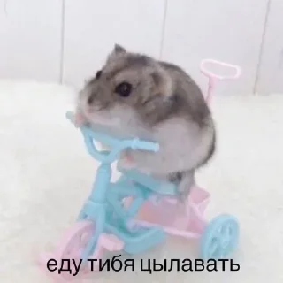 Стикер @StickersFuck1 - 8