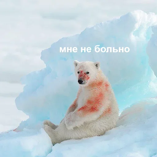 Стикер ZWBvZXtKwmfAVXcHrM_by_stickers_stealer_bot - 1