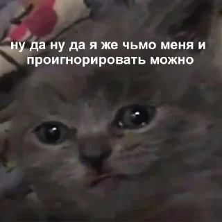 Стикер Создай свои стикеры - @sozdsti_bot - 5