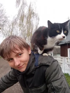 Sticker Мой стикерпак @moyi_stikery_bot - 4