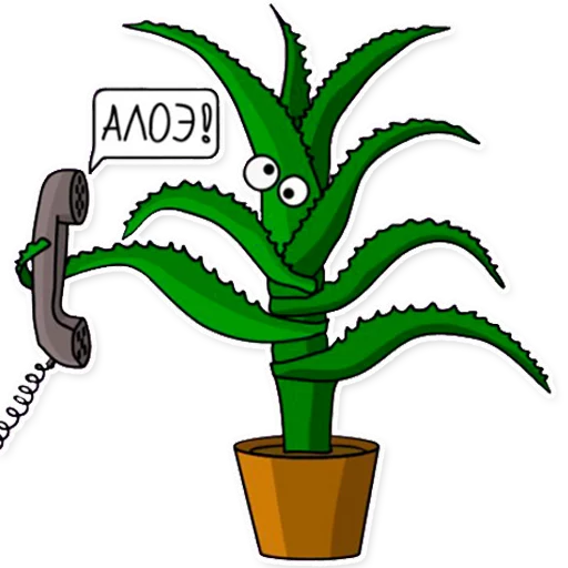 drawing flowerpot houseplant