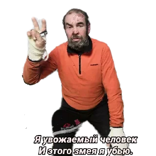 Стикер Z by @stqrapp - 7