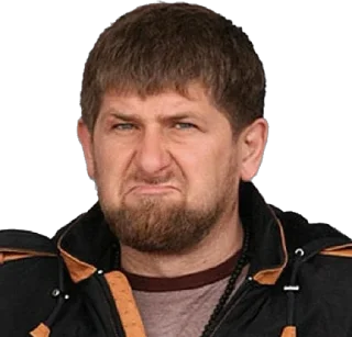 Стикер SHAMAN - 8