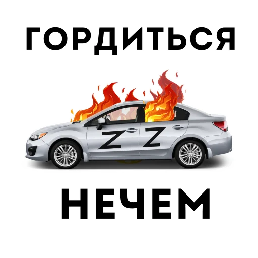 Залупа - 