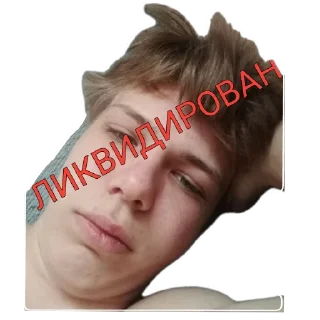 Стикер Za ebanat508 ZOV - 9