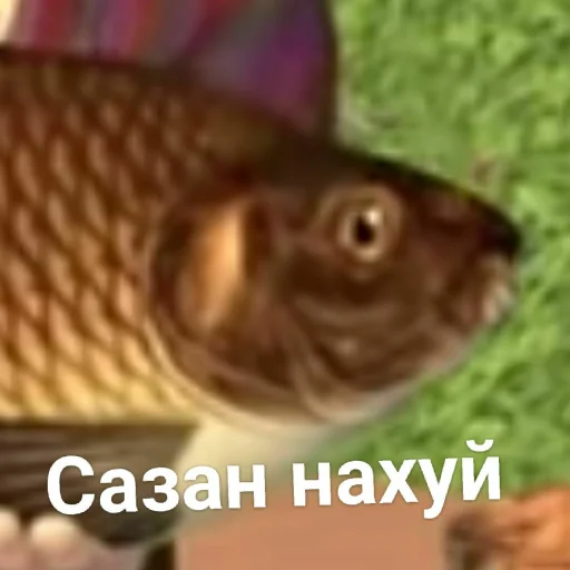 животное рыба карп