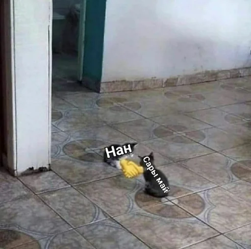 СМС земля настил