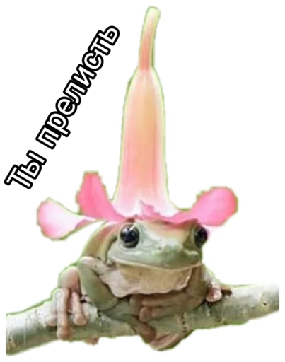 cartoon birthday cake rabbit