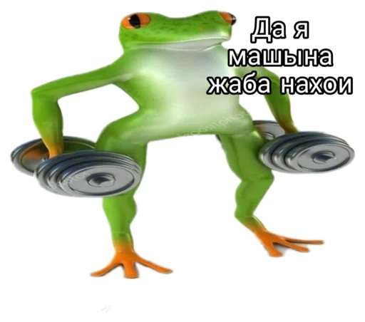 cartoon clipart frog
