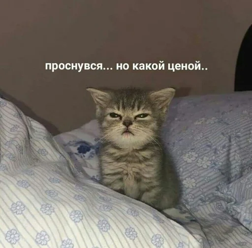 Стикер for friends❤️‍🔥 :: @fStikBot - 8