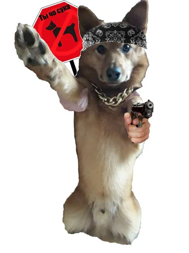 животное млекопитающее собака