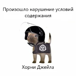 Стикер ZaebaliNyeChitat` by @Cormick_0 - 7