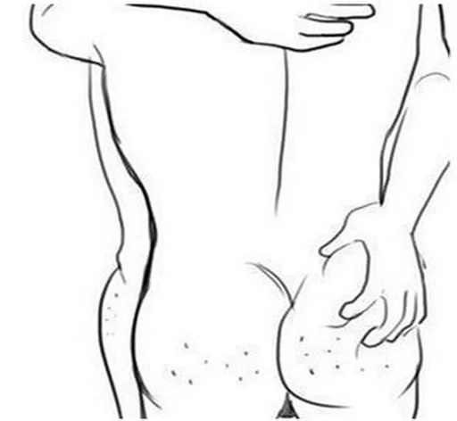 Стикер Безумное сало жжёт - 11