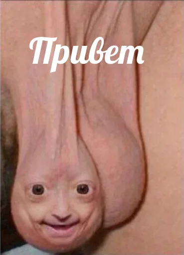 Стикер ЗАЕБЦА - 10