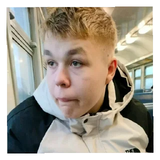 Стикер Zakladki163 - 9