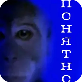 Стикер Законодательства @BKyC_CAXAPOK - 11