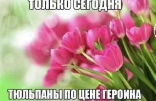 Стикер залупка - 1