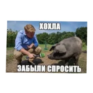 Стикер Залупа - 10