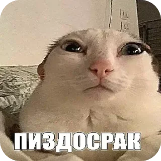 Sticker записки из мини пикарни - 4