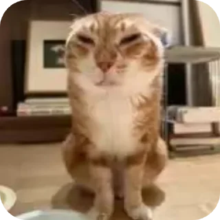 Sticker записки из мини пикарни - 1