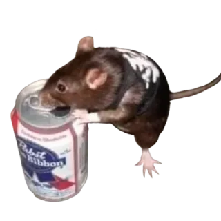 Стикер Залупа - 5