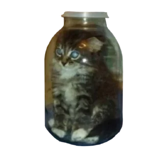 Стикер Залупа - 1