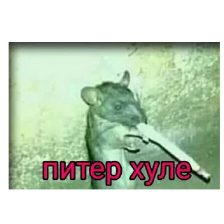 Стикер Залупа - 0