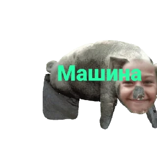 Стикер Новий - 5