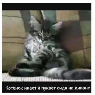 Sticker Залупка - 0