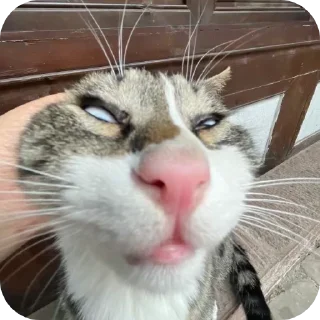 Sticker записки из минипикарни 2 - 1