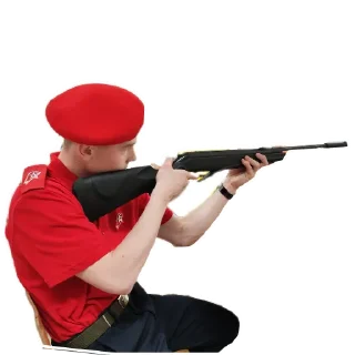 Sticker Зарница - 0