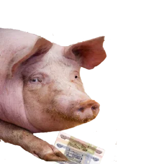 Sticker Заряженка - 0