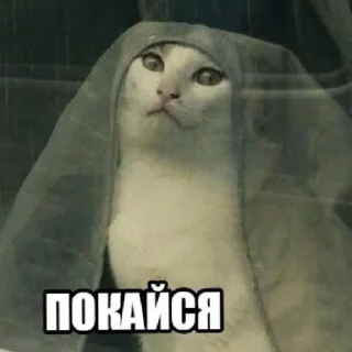 Sticker Зашибись - 11