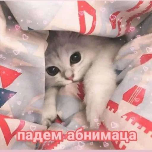 Стикер Zashooooooooo - 1