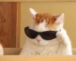 Sticker Ta za sho - 4