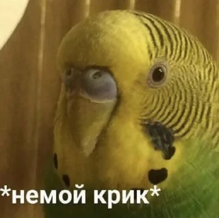 Sticker Ta za sho - 10