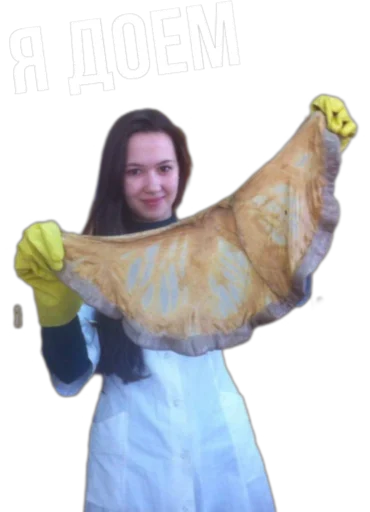 Sticker Zav_Gafff - 1