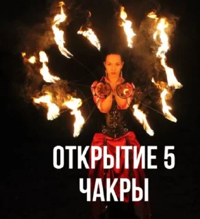 Стикер Зав.Гав - 7