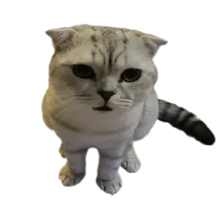 Стикер Завертин - 0