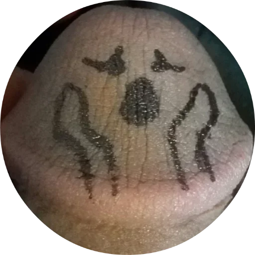 Макросъемка