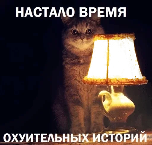 кошки малого и среднего размера домашняя кошка кошачьи