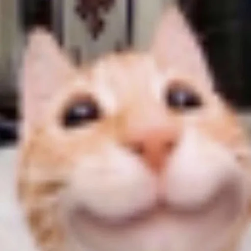 Sticker Zaxaditevchatil - 1